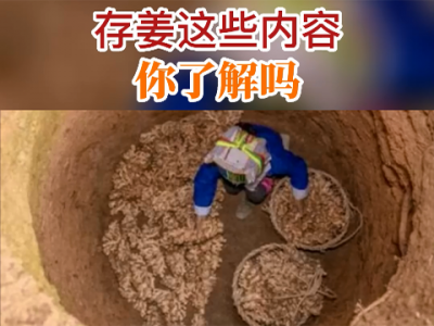 存姜這些內(nèi)容你了解嗎？ ()