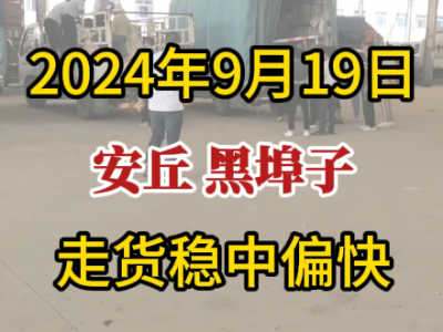 9月19日下午安丘黑埠子市場（走貨穩中偏快） (275播放)