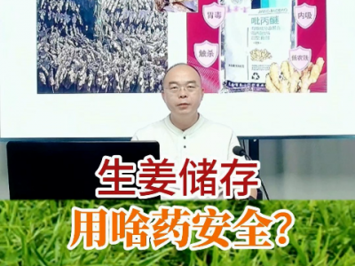 生姜儲存用啥藥安全？ (271播放)