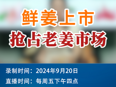 農情漫談：鮮姜上市 搶占老姜市場 (287播放)