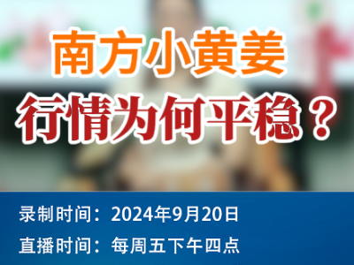 農情漫談：南方小黃姜行情為何平穩？ (295播放)
