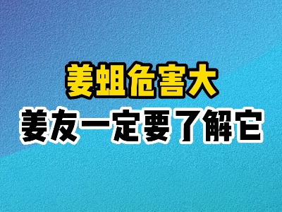 姜蛆危害大姜友一定要了解它 (255播放)