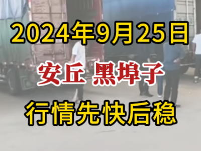 9月25日下午安丘黑埠子市場（行情先快后穩） (274播放)