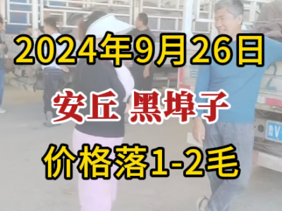 9月26日下午安丘黑埠子市場（價格落1-2毛） (324播放)