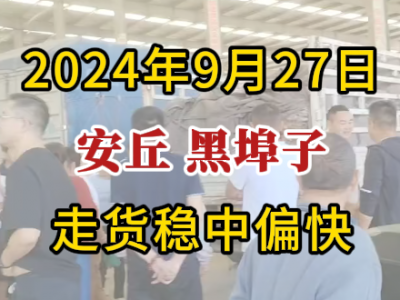 9月27日下午安丘黑埠子市場（走貨穩中偏快） (288播放)