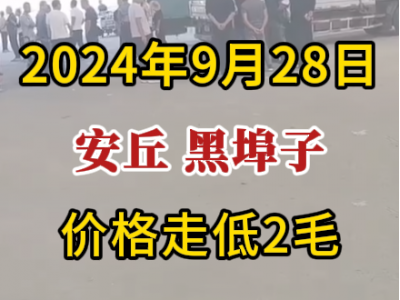 9月28日下午安丘黑埠子市場（價格走低2毛） (294播放)