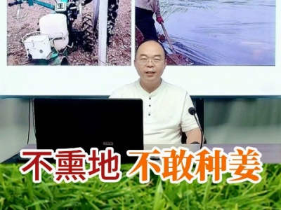 不熏地不敢種姜 (246播放)