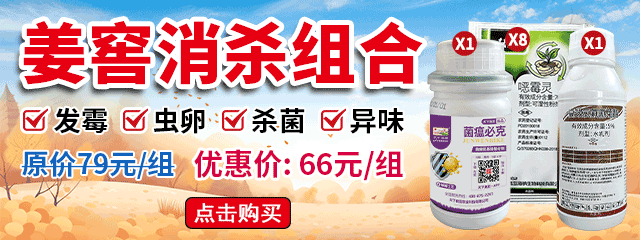 姜窖消殺組合