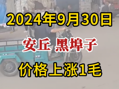 9月30日下午安丘黑埠子市場（價格漲1毛） (261播放)