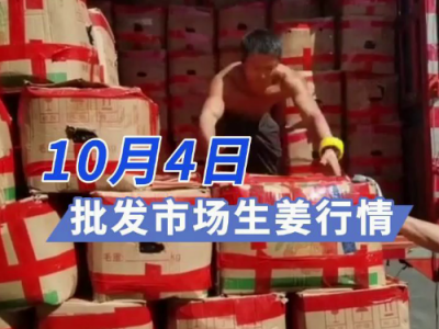 10月4日廣州江南批發市場生姜價格行情 (278播放)