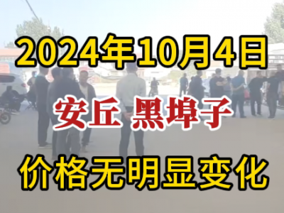 10月4日下午安丘黑埠子市場（價格無明顯變化） (237播放)