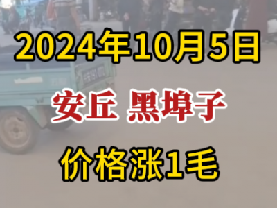 10月5日下午安丘黑埠子市場（價格漲1毛） (257播放)