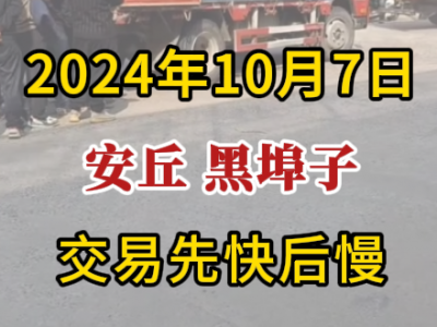 10月7日下午安丘黑埠子市場（交易先快后慢） (245播放)