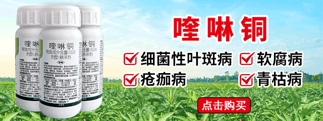 640-240-喹啉銅