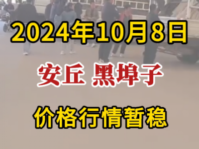 10月8日下午安丘黑埠子市場（價格行情暫穩） (244播放)