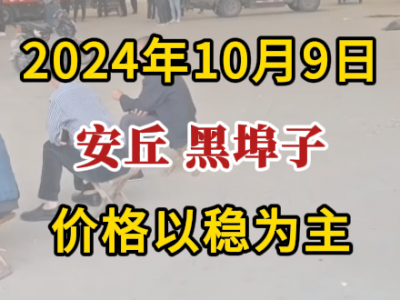 10月9日下午安丘黑埠子市場（價格以穩為主） (253播放)