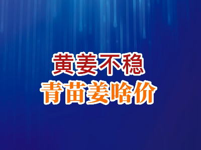 老石說姜：黃姜不穩(wěn)青苗姜啥價(jià)？ (270播放)