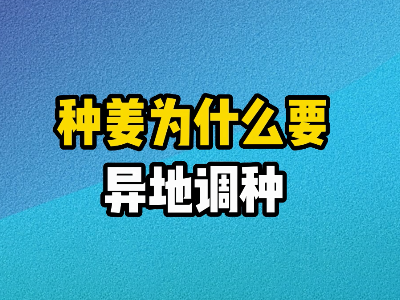 種姜為什么要異地調種？ (257播放)