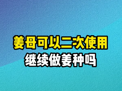 姜母可以二次使用繼續做姜種嗎？ (231播放)
