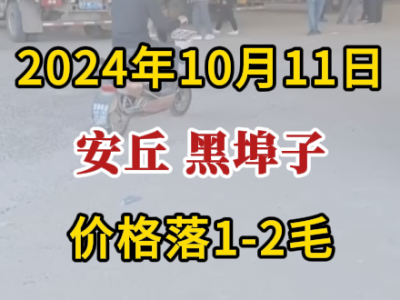 10月11日下午安丘黑埠子市場（價格落1-2毛） (244播放)