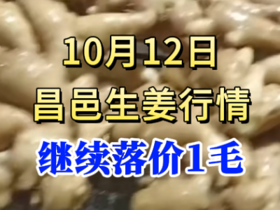 10月12日 昌邑大姜價格行情（繼續(xù)落價1毛） (239播放)