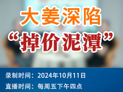 農情漫談：大姜深陷“掉價泥潭” (241播放)