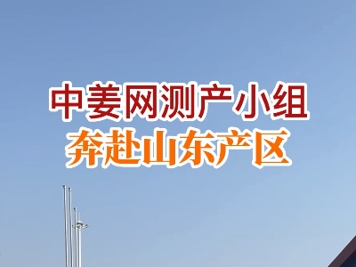 中姜網測產小組奔赴山東產區 (224播放)