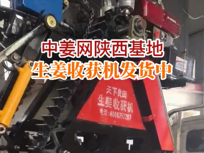 中姜網陜西基地生姜收獲機發(fā)貨中... (296播放)