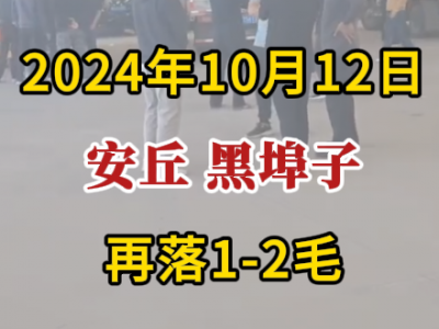 10月12日下午安丘黑埠子市場（再落1-2毛） (252播放)