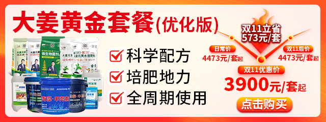 大姜黃金套餐(優(yōu)化版)640-240