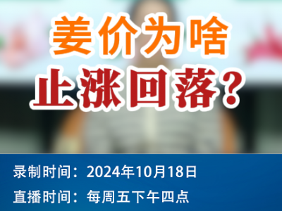 農(nóng)情漫談：姜價為啥止?jié)q回落？ ()