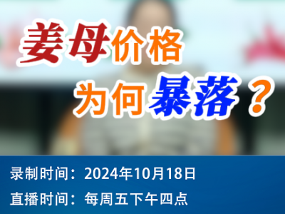 農(nóng)情漫談：姜母價格為何暴落？ ()