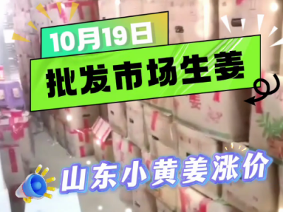 10月19日廣州江南批發市場生姜價格行情 (314播放)