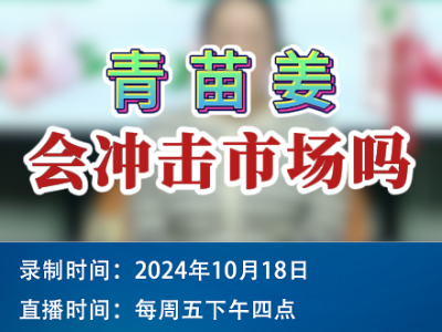 農(nóng)情漫談：青苗姜會(huì)沖擊市場(chǎng)嗎？ (268播放)