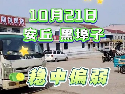 10月21日 安丘黑埠子（穩(wěn)中偏弱） (198播放)