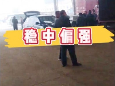 10月22日 安丘黑埠子（穩(wěn)中偏強） (218播放)