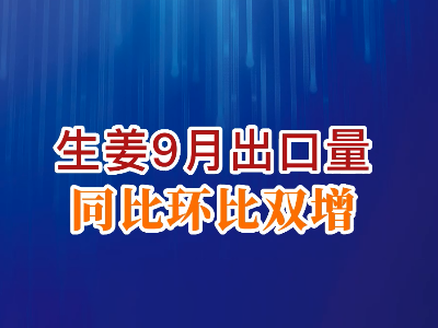老石說姜：生姜9月出口量同比環(huán)比雙增 (234播放)