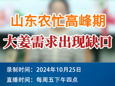 農情漫談：山東農忙高峰期 大姜需求出現缺口 (201播放)