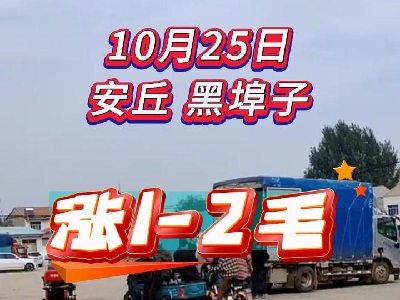 10月25日 安丘黑埠子（漲1-2毛） (201播放)