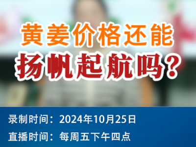 農(nóng)情漫談：黃姜價(jià)格還能揚(yáng)帆起航嗎？ (213播放)
