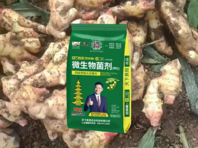 河南姜友大豐收 對天下良田·研二代·豆磷脂微生物菌劑贊不絕口 (220播放)