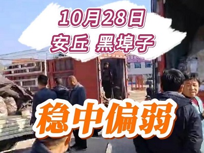 10月28日 安丘黑埠子（穩(wěn)中偏弱） (189播放)