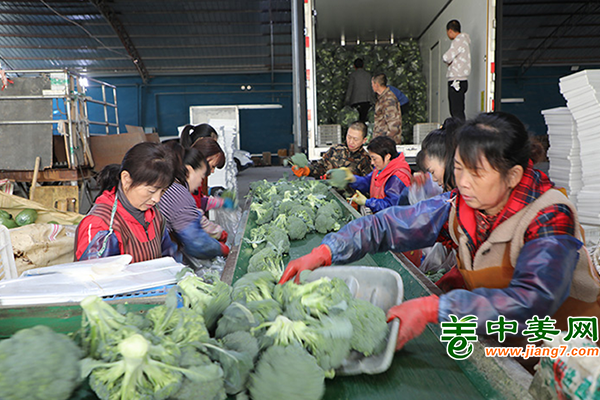 甘肅臨澤：蔬菜冷庫助農(nóng)搶占“鮮”機 ()