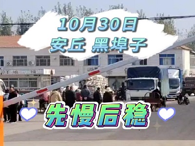 10月30日 安丘黑埠子（先慢后穩(wěn)） (186播放)