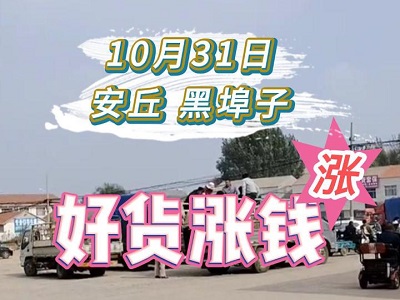 10月31日 安丘黑埠子（好貨漲錢） (185播放)