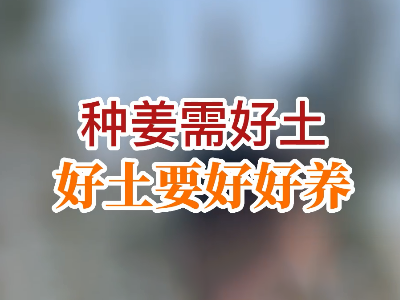 種姜需好土 好士要好好養(yǎng) ()