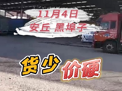 11月4日 安丘黑埠子（貨少價硬） (243播放)