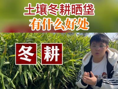 土壤冬耕曬垡有什么好處？ (284播放)
