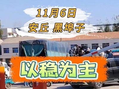 11月6日 安丘黑埠子（以穩為主） (170播放)