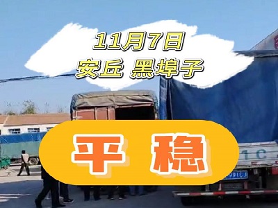 11月7日 安丘黑埠子（平穩） (165播放)